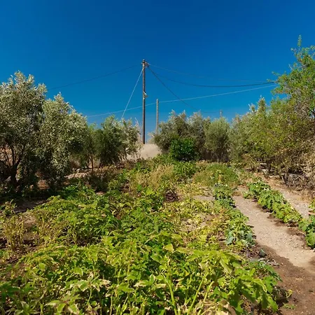 The Tree Houses Santorini Perissa  Exterior photo